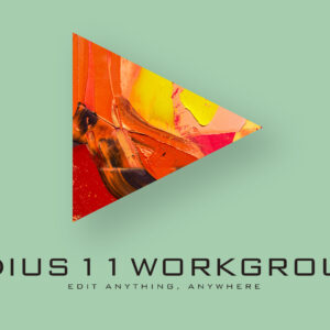 EDIUS 11 Workgroup Standard – Unveiling Powerful Editing Tools